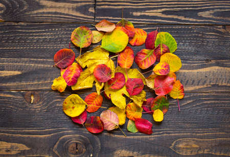 Colorful autumn leaves, yellow, orange and red over a wooden backgroundの写真素材