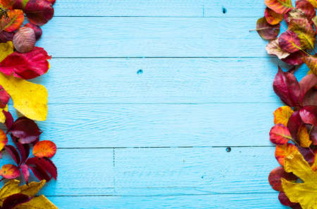 Colorful autumn leaves, yellow, orange and red over a wooden backgroundの写真素材