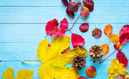 Colorful autumn leaves, yellow, orange and red over a wooden backgroundの写真素材