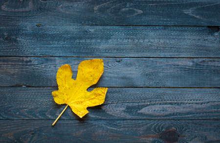 Colorful autumn leaves, yellow, orange and red over a wooden backgroundの写真素材