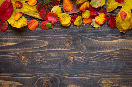 Colorful autumn leaves, yellow, orange and red over a wooden backgroundの写真素材