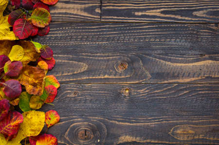 Colorful autumn leaves, yellow, orange and red over a wooden backgroundの写真素材