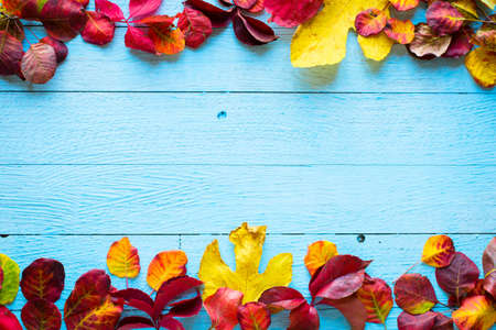 Colorful autumn leaves, yellow, orange and red over a wooden backgroundの写真素材