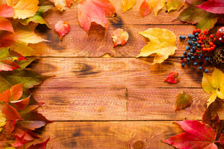 Thanksgiving day, autumn leaves background and text, on different rustic woodenの写真素材