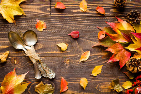 Thanksgiving day, autumn leaves background and text, on different rustic woodenの写真素材