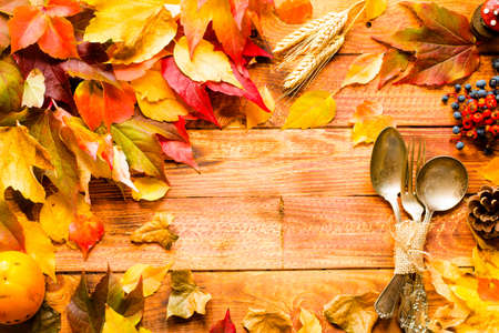 Thanksgiving day, autumn leaves background and text, on different rustic woodenの写真素材