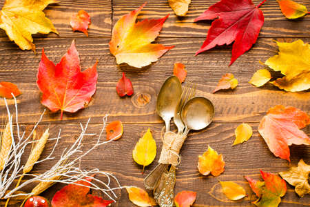 Thanksgiving day, autumn leaves background and text, on different rustic woodenの写真素材