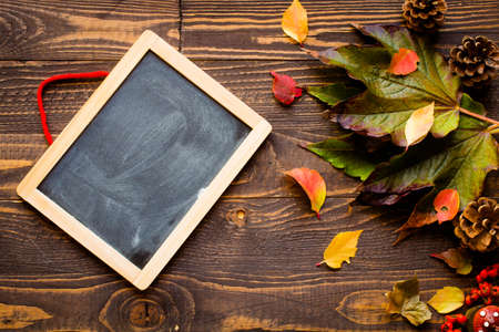 Thanksgiving day, autumn leaves background and text, on different rustic woodenの写真素材