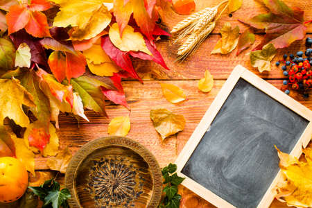Thanksgiving day, autumn leaves background and text, on different rustic woodenの写真素材