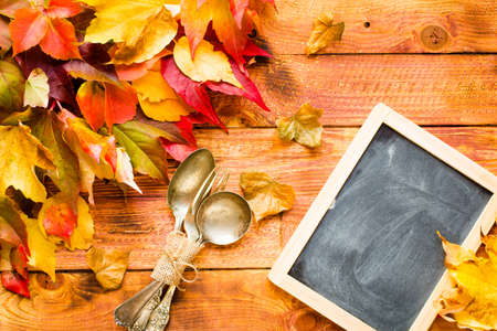 Thanksgiving day, autumn leaves background and text, on different rustic woodenの写真素材