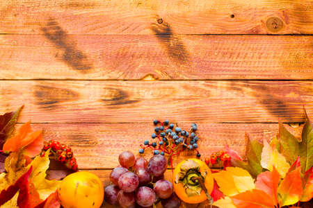 Thanksgiving day, autumn leaves background and text, on different rustic woodenの写真素材