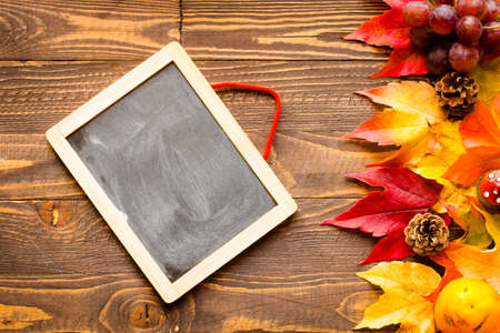 Thanksgiving day, autumn leaves background and text, on different rustic woodenの写真素材