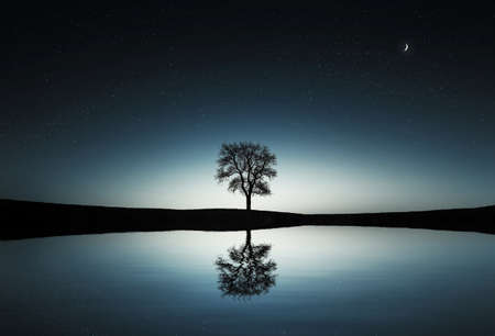 Tree reflectionの写真素材