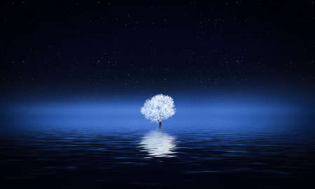 Tree, winterの写真素材