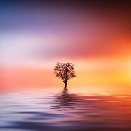 Sunset lakeの写真素材