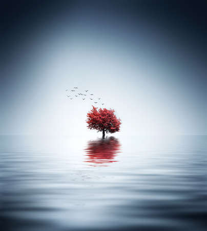 Red treeの写真素材