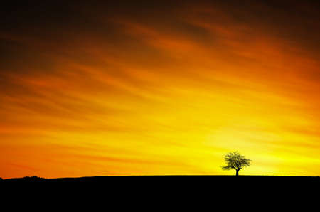 Sunsetの写真素材