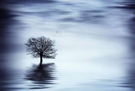 Tree at the lakeの写真素材