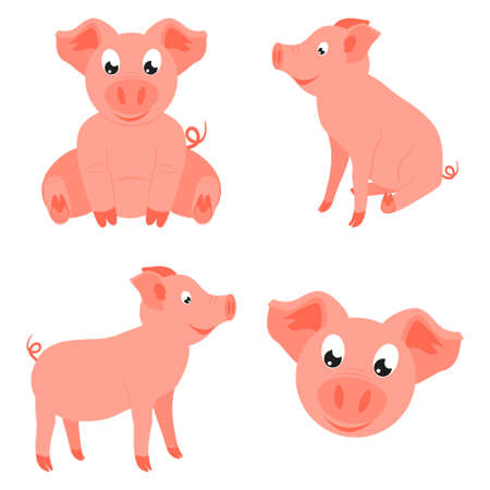 Colorful cartoon happy pig set. 2019 year chinese symbol. Farm animal vector illustration for icon, sticker sign, patch, certificate badge, gift card, stamp, label, poster, web bannerのイラスト素材