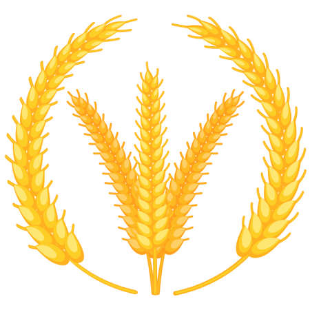 Colorful cartoon ripe wheat ear wreath. Background with copyspace for advertisement leaflet. Harvest themed vector illustration for icon, label, emblem, certificate or ad banner decorationのイラスト素材