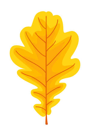 Cartoon yellow oak leaf. Autumn colorful foliage decor. Fall themed vector illustration for icon, logo, poster, postcard or invitation card decorationのイラスト素材
