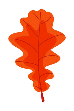 Cartoon red oak leaf. Autumn colorful foliage decor. Fall themed vector illustration for icon, logo, poster, postcard or invitation card decorationのイラスト素材