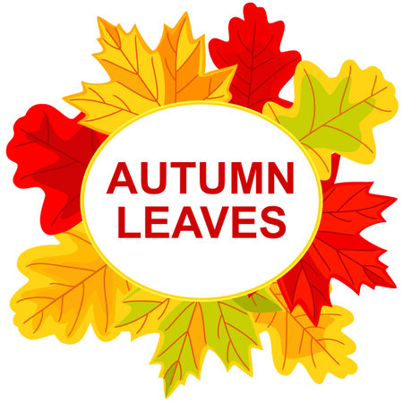 Colorful autumn oak leaves frame. Thanksgiving foliage background. Fall themed vector illustration for coupon, poster, postcard, invitation or greeting card decorのイラスト素材