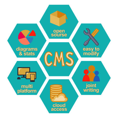 Colorful cartoon honeycomb content management system infographicのイラスト素材