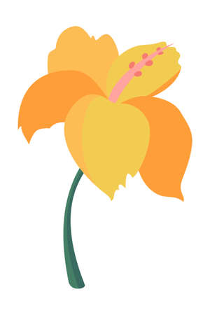 Cartoon exotic vector flower on white backgroundのイラスト素材