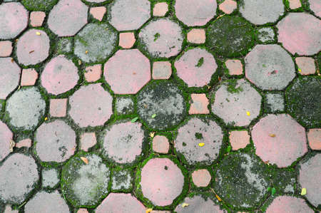 Brick wall of a buildingの写真素材