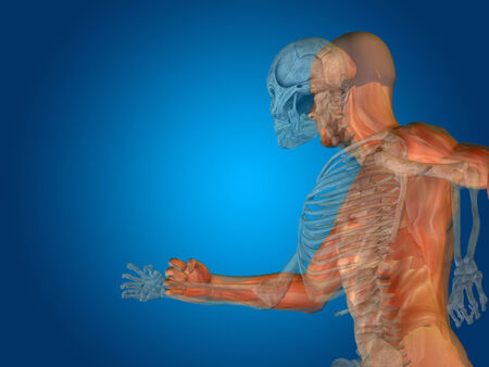 Conceptual Anatomy human body on blue backgroundの写真素材