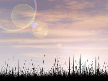 Black abstract grass over sky sunset backgroundの写真素材