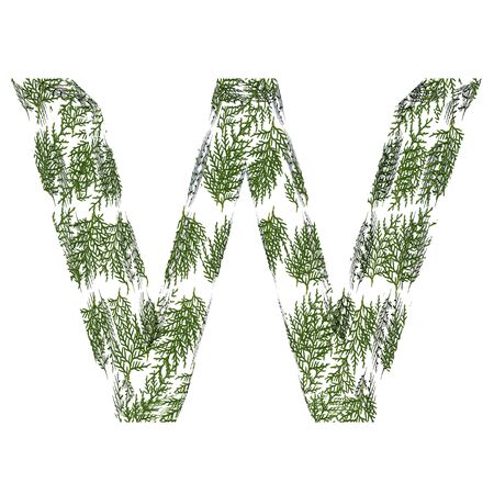 3D green grass or fir tree Christmas font with ornaments isolated on white backgroundの写真素材