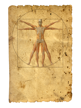 Concept or conceptual vitruvian human body drawing on old paper backgroundの写真素材