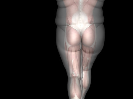 Human man fat and slim concept isolated on black background