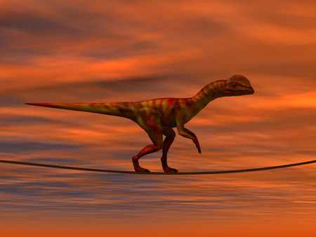 Conceptual business metaphor as animal or rope over sunset sky backgroundの写真素材