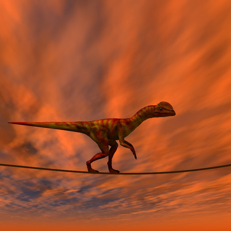 Conceptual business metaphor as animal or rope over sunset sky backgroundの写真素材