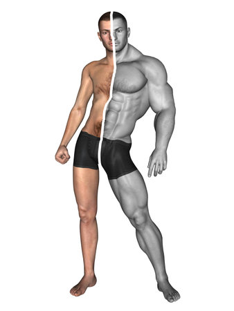 Human man thin and muscle concept isolated on white backgroundの写真素材