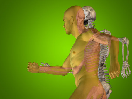 Conceptual Anatomy human body on green background