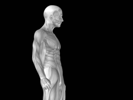 Conceptual human body anatomy isolated on black backgroundの写真素材