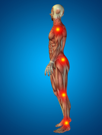 Conceptual 3D human man anatomy joint pain body on blue backgroundの写真素材