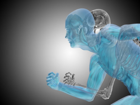 Conceptual Anatomy human body on gray background
