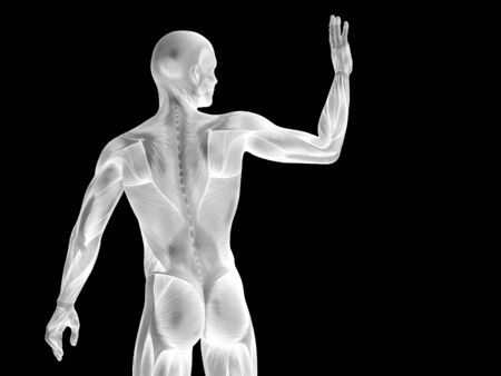 Conceptual human body anatomy isolated on black backgroundの写真素材