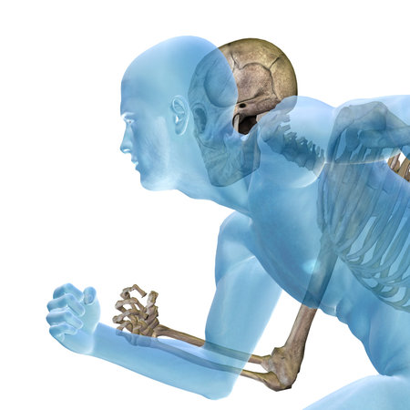 Conceptual Anatomy human body isolated on backgroundの写真素材