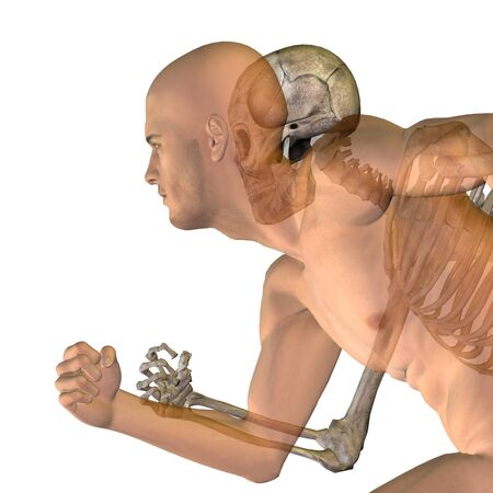 Conceptual Anatomy human body isolated on backgroundの写真素材