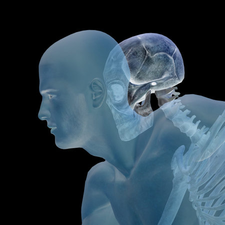 Conceptual Anatomy human body on black backgroundの写真素材