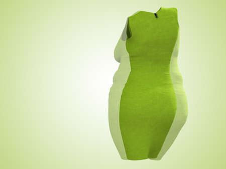 Conceptual fat overweight obese female dress outfit vs slim fit healthy body after weight loss or diet thin young woman on green. A fitness, nutrition or fatness obesity health shape 3D illustrationの写真素材