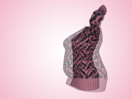 Conceptual fat overweight obese female sweater dress vs slim fit healthy body after weight loss or diet thin young woman on pink. A fitness, nutrition or fatness obesity health shape 3D illustrationの写真素材