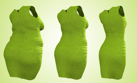 Conceptual fat overweight obese female dress outfit vs slim fit healthy body after weight loss or diet thin young woman on green. A fitness, nutrition or fatness obesity health shape 3D illustrationの写真素材
