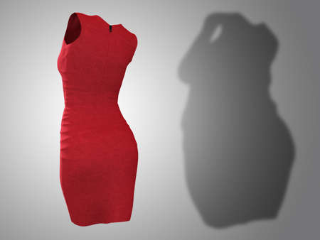 Conceptual fat overweight obese shadow female dress outfit vs slim fit healthy body after weight loss or diet thin young woman on gray. A fitness, nutrition or obesity health shape 3D illustrationの写真素材